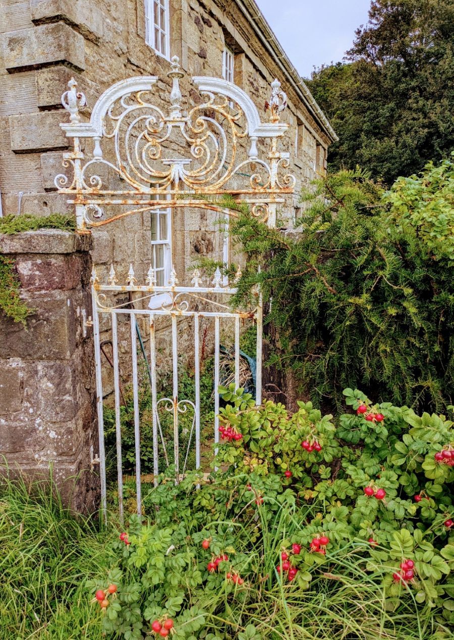 old gate